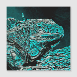 AnimalMix_Iguana_001