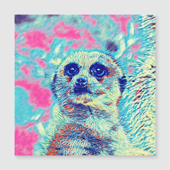 AnimalMix_Meerkat_008 (Frente)