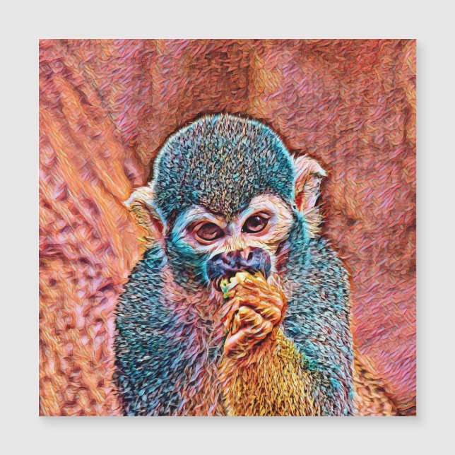 AnimalMix_Monkey_001 (Frente)