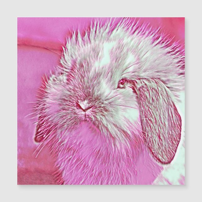 AnimalMix_Rabbit_008 (Frente)