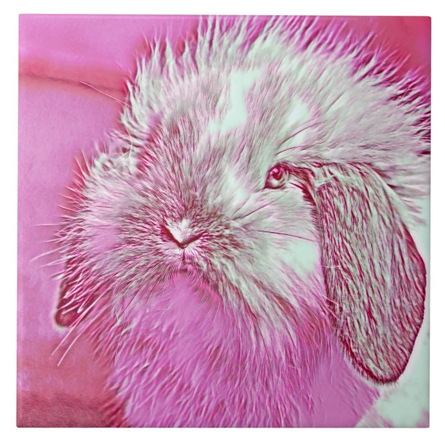 AnimalMix_Rabbit_008 (Frente)