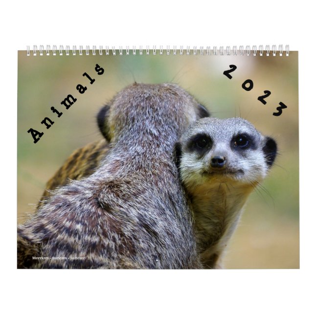 Animaux do Calendário 2023 (Capa)