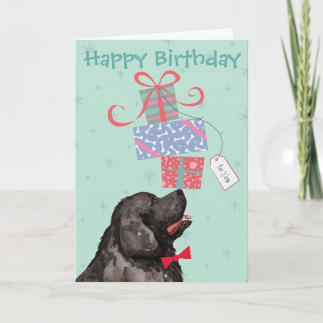 Aniversário Apresenta Cartão Terra Nova (Frente)