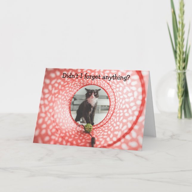 Aniversário atrasado? Cartão Engraçado com Cat (Frente)