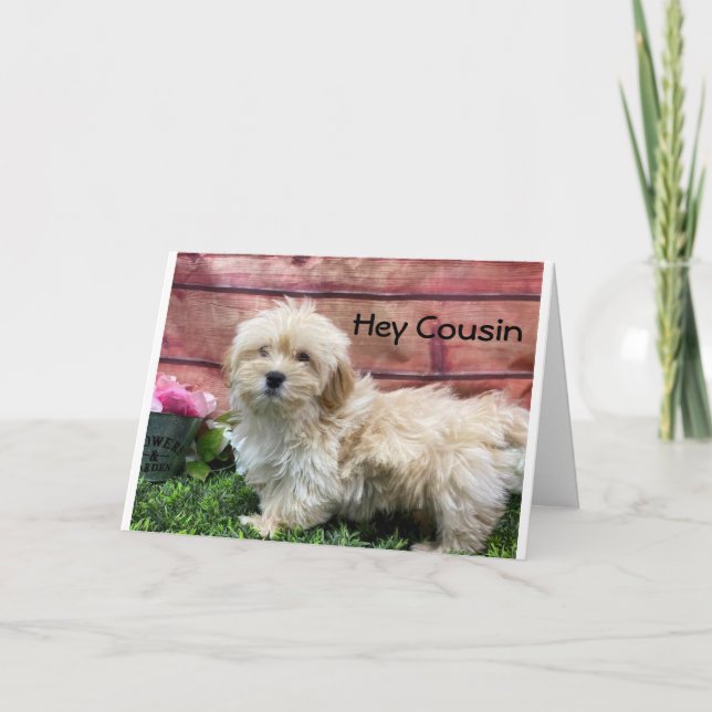 ANIVERSÁRIO: CARTÃO "COUSIN" E "MELHOR AMIGO" (Frente)