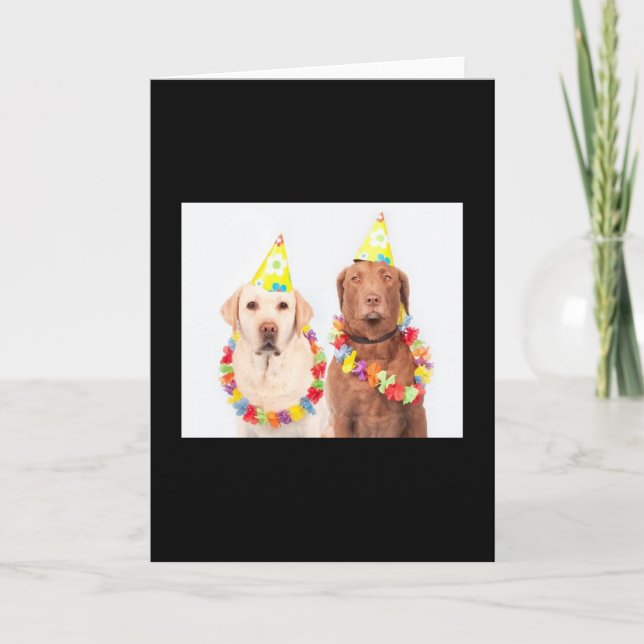 Aniversário 🎂 cartões de saudação, à venda! (Frente)