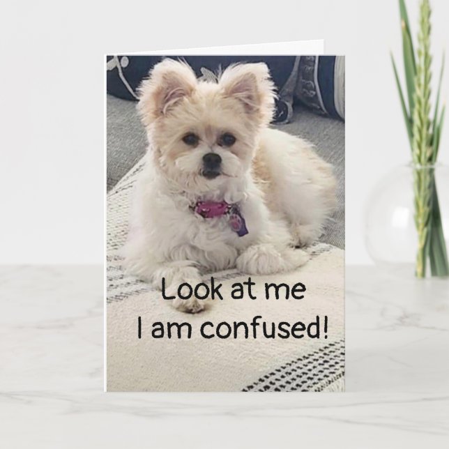 **ANIVERSÁRIO DE 13 ANOS** MUITO CONFUSO! Cartão (Frente)