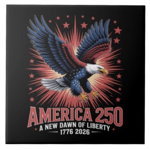Aniversário de 250 anos da América