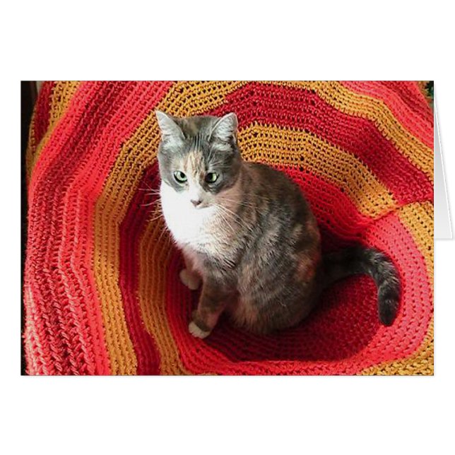 Aniversário de saudação Gato no Cartão de Cobrir A (Frente Horizontal)