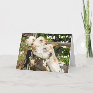 ANIVERSÁRIO DESEJA À MINHA MÃE NO SEU DIA! CARTÃO