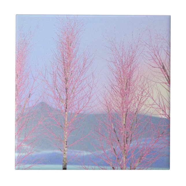 Aniversário do Creme de framboesa (Frente)