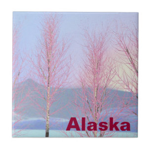 Aniversário do Creme de framboesa