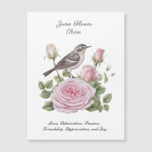 Aniversário do Elegante Rosa de Flor do Mês do Nas