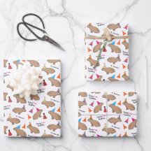 Aniversário Personalizado de Crianças Capivara Bra