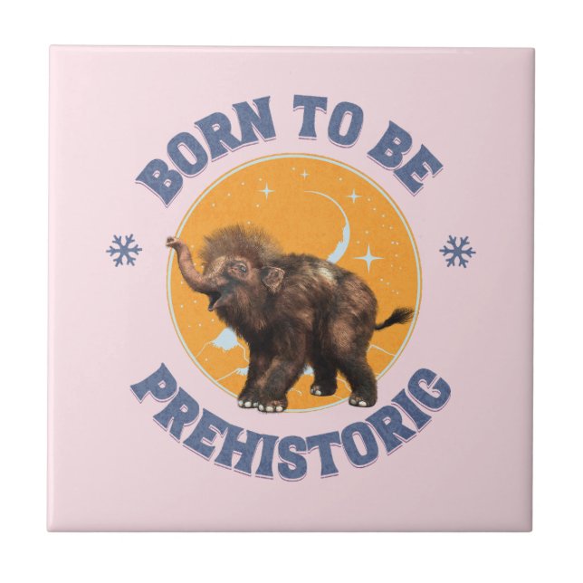 Aniversário Pré-Histórico de Bebê Mamute Divertido (Frente)