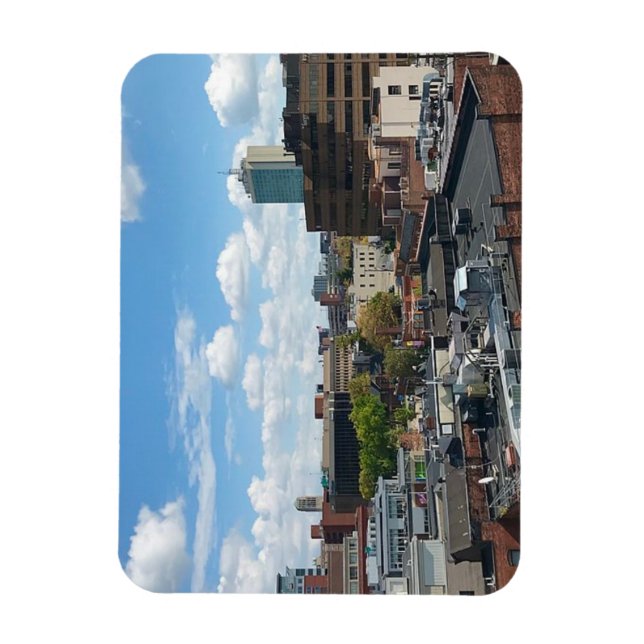 ANN ARBOR MICHIGAN Ímã (Vertical)