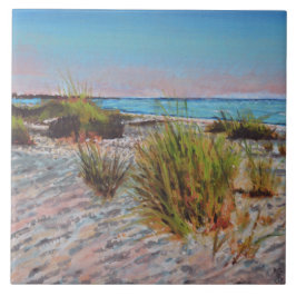 Anna Maria Island, Florida Beach Painting