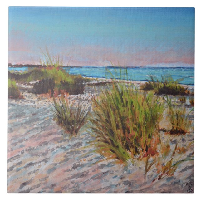 Anna Maria Island, Florida Beach Painting (Frente)