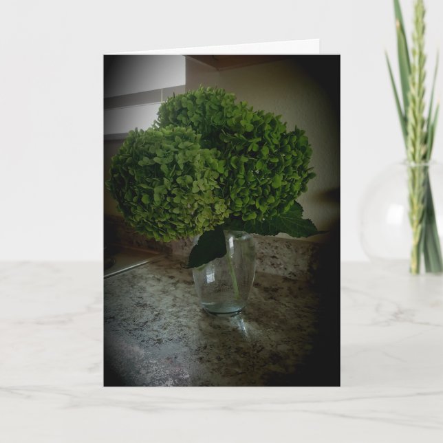 “Annabelle Hydrangea” Cartão de Aniversário (Frente)
