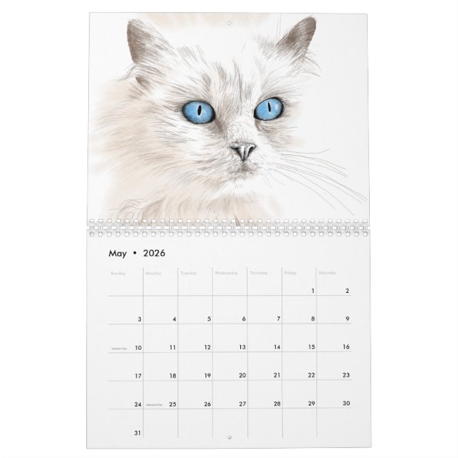 Ano do calendário dos desenhos dos gatos (Maio 2026)
