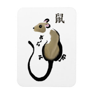 Ano do ímã do rato