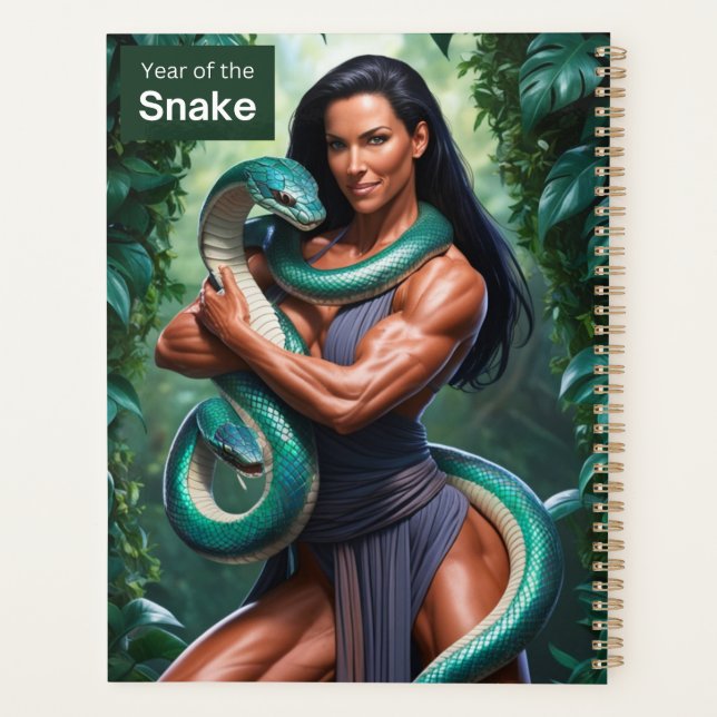 Ano do PLANEJADOR 2025 da Cobra (Verso)