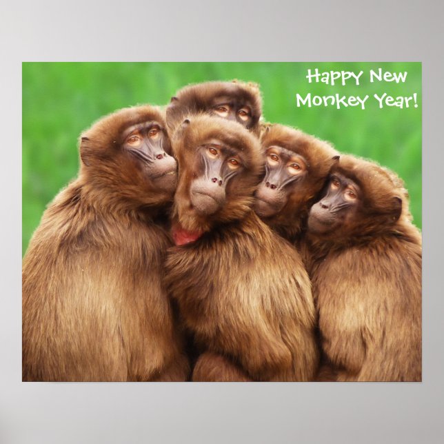 Ano Do Poster Do Macaco-Fogo (Frente)