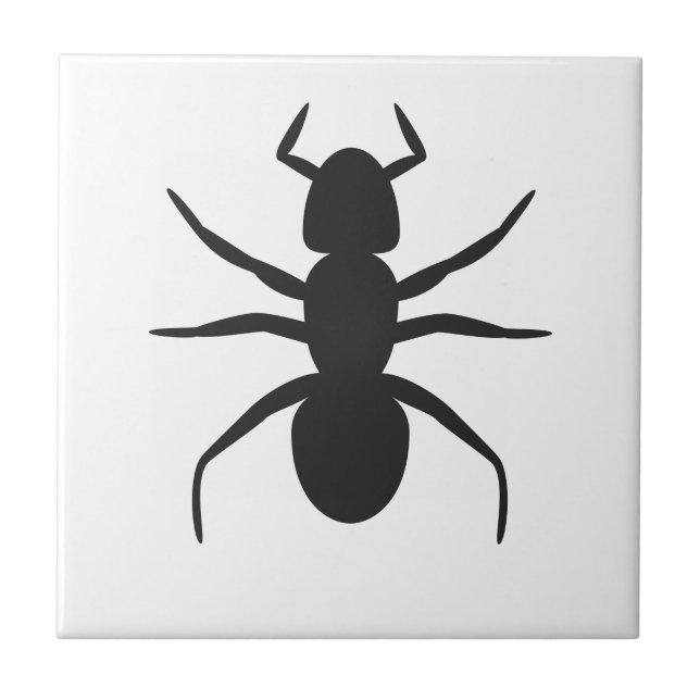 Ant (Frente)