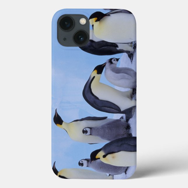 Antarctica, Emporer Penguins (Verso)