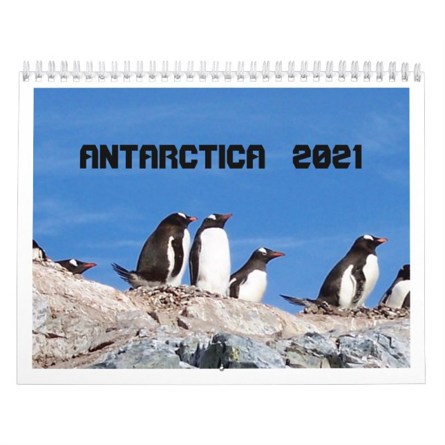 Antártica - Calendário 2020 (Capa)