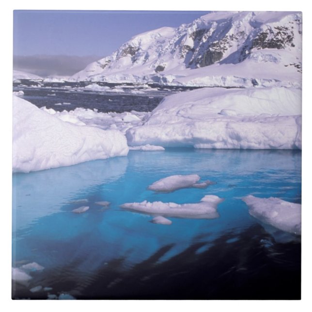 Antártica. Expedição através de fugas de gelo 2 (Frente)