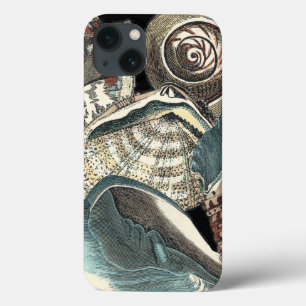 Anthologia Seashell