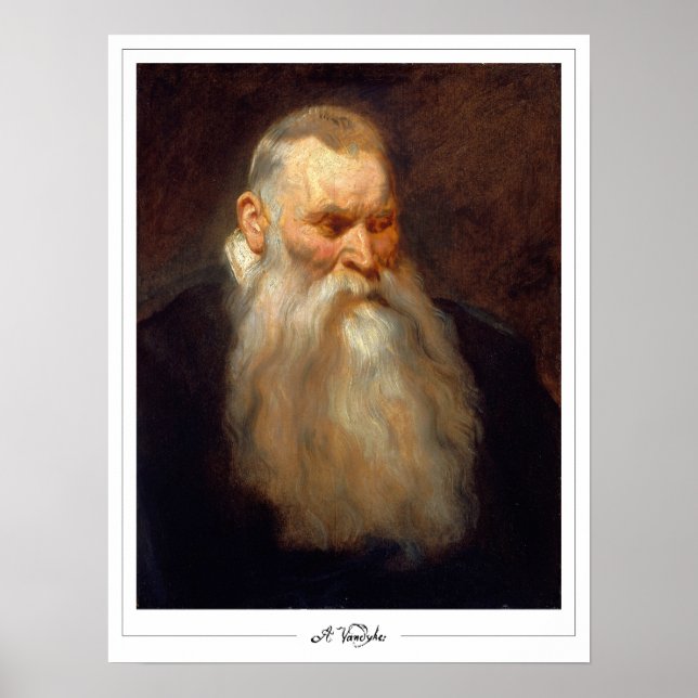 Anthony van Dyck Zedign Art Poster #543 (Frente)
