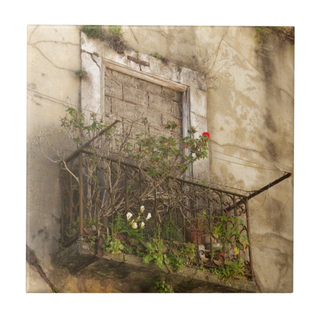 Antiga casa abandonada (Frente)