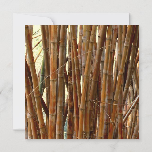 Antigo Bamboo (Frente)