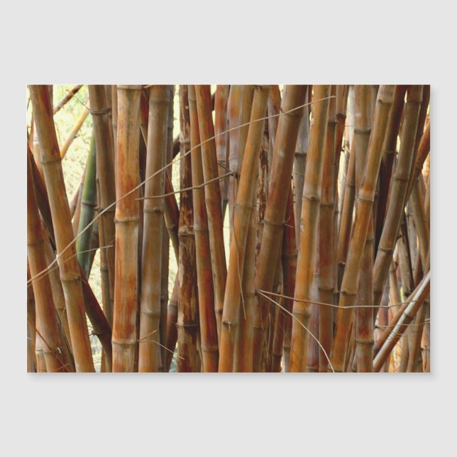 Antigo Bamboo (Frente)