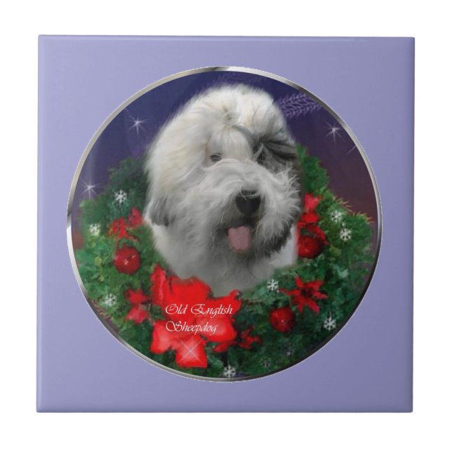 Antigo pastor Inglês (Frente)