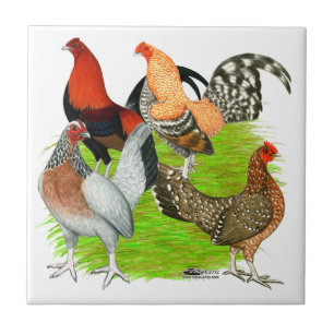 Antigo Quarteto de Jogo Inglês