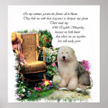 Antigo Sheepdog Art Impressão