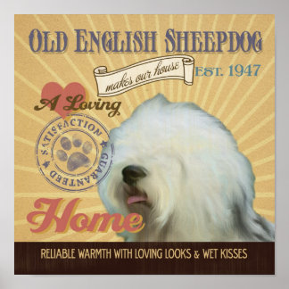 Antigo Sheepdog Dog Art Poster