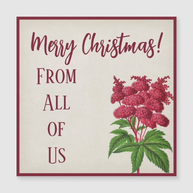 Antigos Natais vintages Red Spiraea Palmata (Frente)