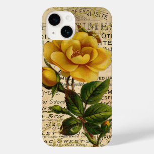 Antigos Rosas franceses