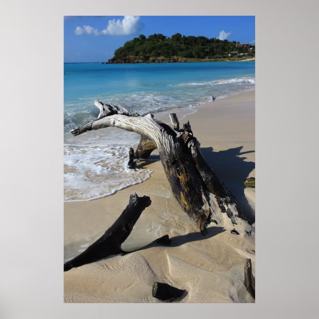 Antigua beach Poster (Frente)