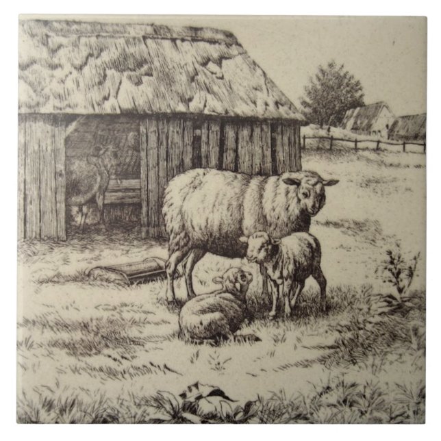 Antiguidade Repro William Wise Sheep Family Sepia (Frente)