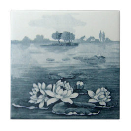 Antiguidade Transferware da reprodução VT0068