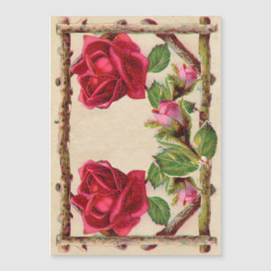 Antiguidade Vitorítica Vintage rosa rustica