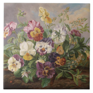 Anton Mollis Vintage Pansy