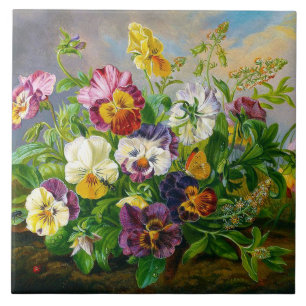 Anton Mollis VintagePansy