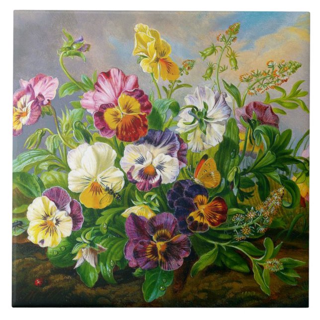 Anton Mollis VintagePansy (Frente)