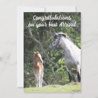 Anúncio A Nova Chegada